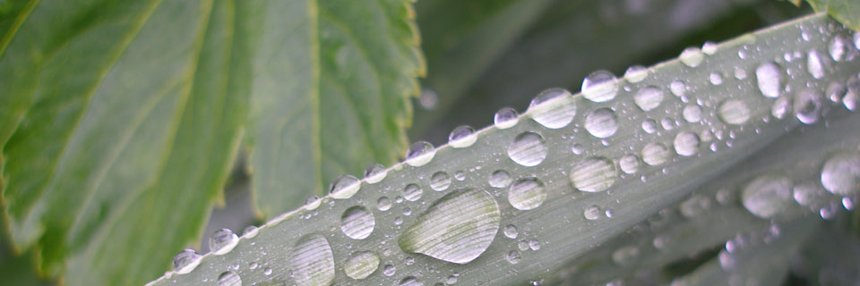 slider image 2