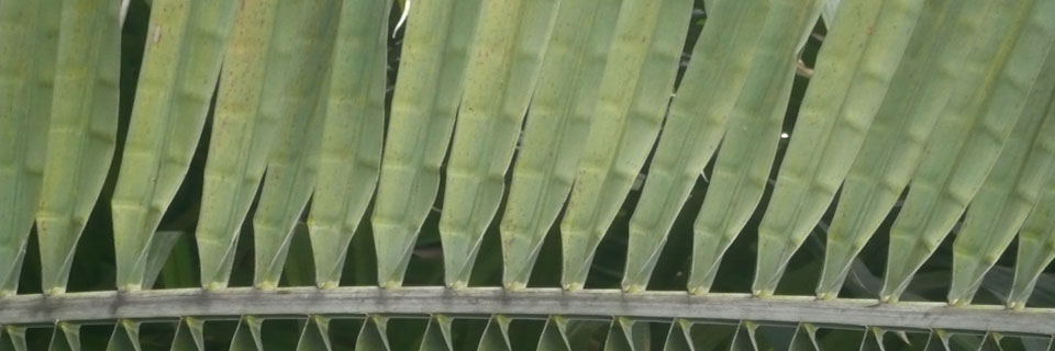 slider image 2